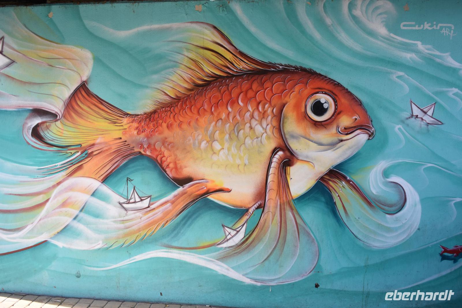 Fisch! &ndash; &copy; Eric Richter (Eberhardt TRAVEL)