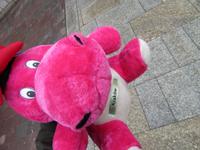Wawel Drache