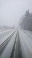Wintereinbruch am Abfahrtstag unweit von Krokowa &ndash; &copy; Stefan Jahnke (Eberhardt TRAVEL)