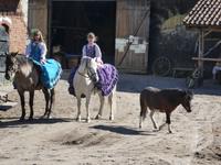 Bauernhof &ndash; &copy; Kerstin Hugel (Eberhardt TRAVEL)