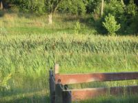Natur14 &ndash; &copy; Birgit Hornung (Eberhardt TRAVEL)