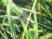 Natur15 &ndash; &copy; Birgit Hornung (Eberhardt TRAVEL)
