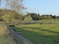 Auf dem Bauernhof (10) &ndash; &copy; Birgit Hornung (Eberhardt TRAVEL)