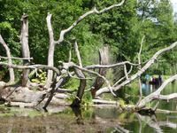 Natur (2) &ndash; &copy; Birgit Hornung (Eberhardt TRAVEL)