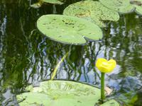 Natur (5) &ndash; &copy; Birgit Hornung (Eberhardt TRAVEL)