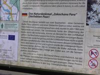 Naturdenkmal (2) &ndash; &copy; Birgit Hornung (Eberhardt TRAVEL)