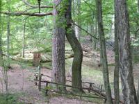 Naturdenkmal &ndash; &copy; Birgit Hornung (Eberhardt TRAVEL)