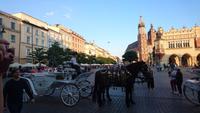 Zurück aum dem Markt in Krakau