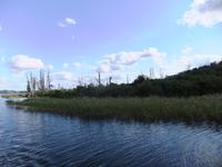 Komoraninsel &ndash; &copy; Aline K. (Eberhardt TRAVEL)