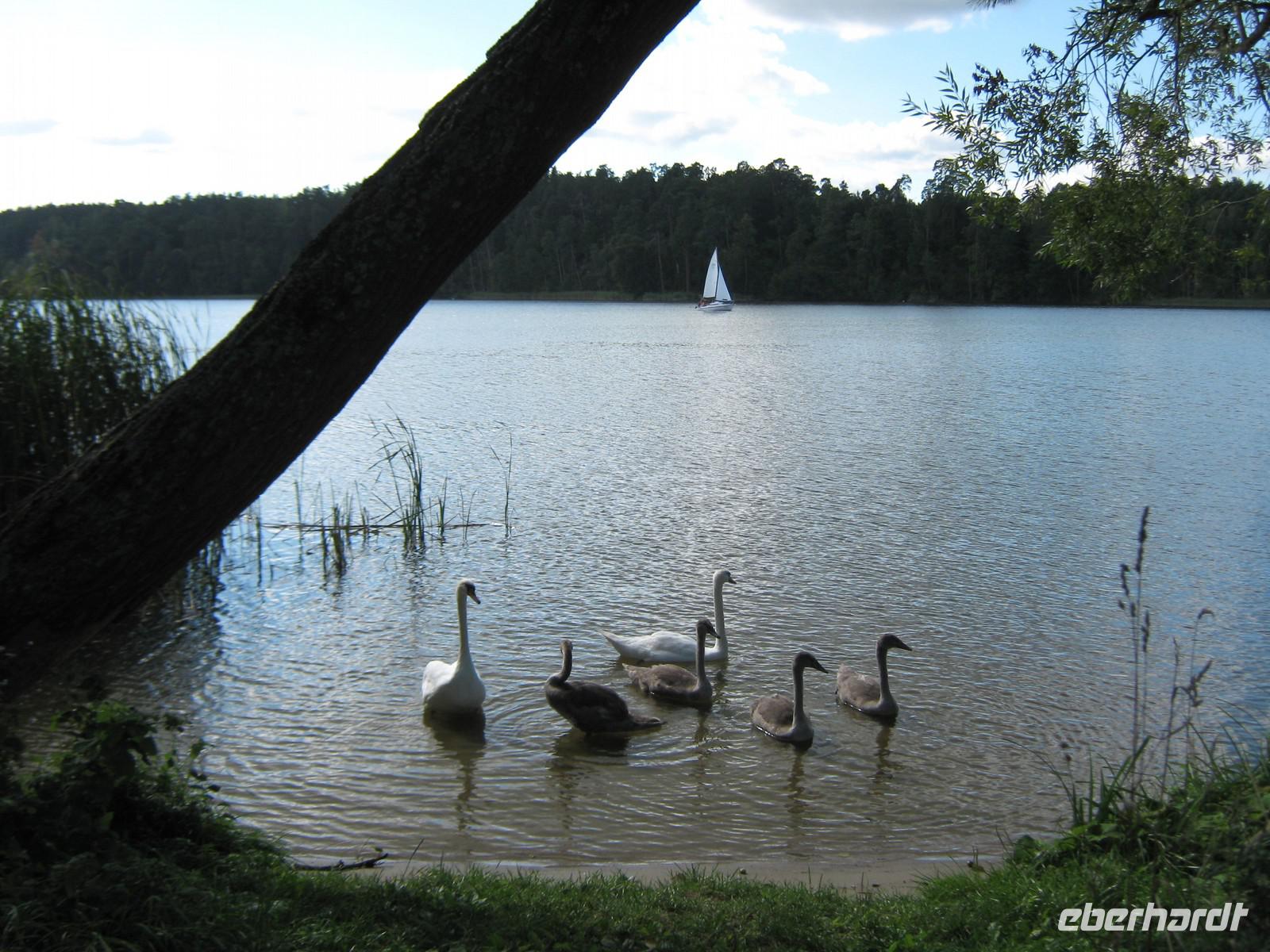 An der Fähre hatten wir besondere Begleitung &ndash; &copy; Anne Sturm (Eberhardt TRAVEL)
