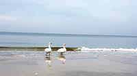 Dzwizyno lebenslanges Glück? &ndash; &copy; Sabine Herda (Eberhardt TRAVEL)