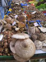 Breslau, Markthalle