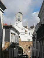 Faro