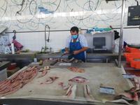 Fisch in Olhao &ndash; &copy; Astrid Janke (Eberhardt TRAVEL)
