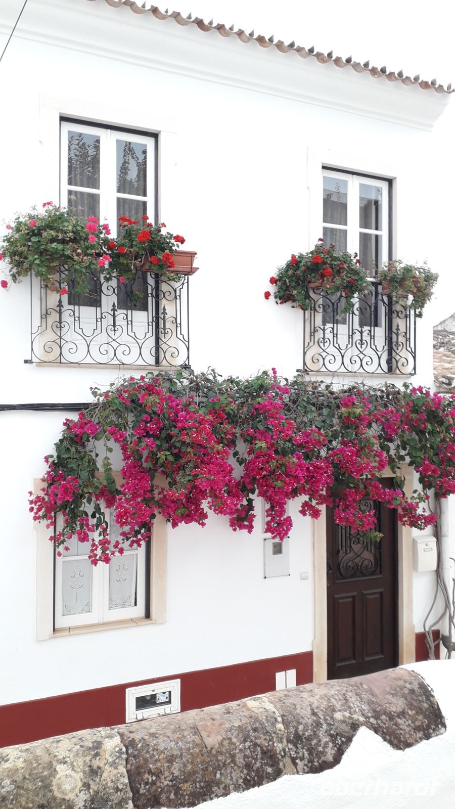 Silves &ndash; &copy; Julia Kies (Eberhardt TRAVEL)