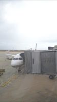 Dieser Flieger bringt uns nach Portugal &ndash; &copy; Julia Kies (Eberhardt TRAVEL)