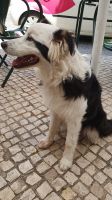 mein neuer Freund auf Zeit