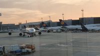 Flughafen Frankfurt, A340-600 ist wieder zurück aus der spanischen Wüste !!! &ndash; &copy; Ria Heilmann (Eberhardt TRAVEL)