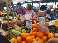 Olhao mit Markthalle am Bootshafen (10).jpg &ndash; &copy; Steffi Lambrecht (Eberhardt TRAVEL)