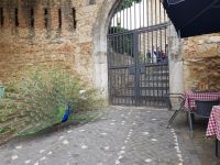 Lissabon - im Viertel Alfama (67).jpg &ndash; &copy; Steffi Lambrecht (Eberhardt TRAVEL)