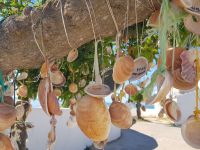 Nossa Senhora de Rocha - eine schöne Deko(8).jpg &ndash; &copy; Steffi Lambrecht (Eberhardt TRAVEL)