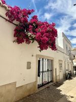 Loule &ndash; &copy; Mareike Schmidt (Eberhardt TRAVEL)