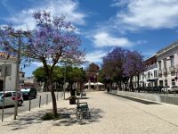 Loule &ndash; &copy; Mareike Schmidt (Eberhardt TRAVEL)