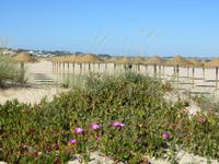 Strand von Lagos &ndash; &copy; Marianne Schulze (Eberhardt TRAVEL)