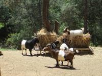 Parque da Mina &ndash; &copy; Marianne Schulze (Eberhardt TRAVEL)