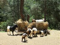 Parque da Mina &ndash; &copy; Marianne Schulze (Eberhardt TRAVEL)
