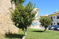 Faro &ndash; &copy; Marianne Schulze (Eberhardt TRAVEL)
