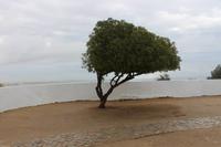 Senhora da Rocha &ndash; &copy; Marianne Förster (Eberhardt TRAVEL)