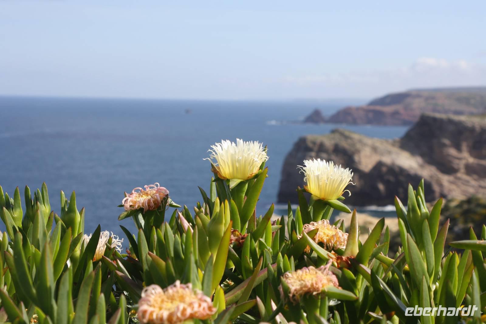 Cabo de Sao Vicente_12 &ndash; &copy; Thomas Mühlbauer (Eberhardt TRAVEL)