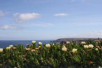 Cabo de Sao Vicente_10 &ndash; &copy; Thomas Mühlbauer (Eberhardt TRAVEL)