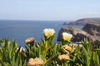 Cabo de Sao Vicente_12 &ndash; &copy; Thomas Mühlbauer (Eberhardt TRAVEL)