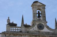 Faro_5 &ndash; &copy; Thomas Mühlbauer (Eberhardt TRAVEL)