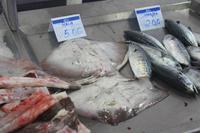 Fischmarkt Olhao &ndash; &copy; Thomas Mühlbauer (Eberhardt TRAVEL)