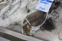 Fischmarkt Olhao_2 &ndash; &copy; Thomas Mühlbauer (Eberhardt TRAVEL)