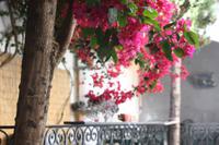 Loule_6 &ndash; &copy; Thomas Mühlbauer (Eberhardt TRAVEL)
