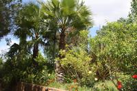 Parque de Mina_4 &ndash; &copy; Thomas Mühlbauer (Eberhardt TRAVEL)