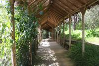 Parque de Mina_5 &ndash; &copy; Thomas Mühlbauer (Eberhardt TRAVEL)