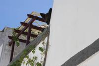 Tavira_14 &ndash; &copy; Thomas Mühlbauer (Eberhardt TRAVEL)