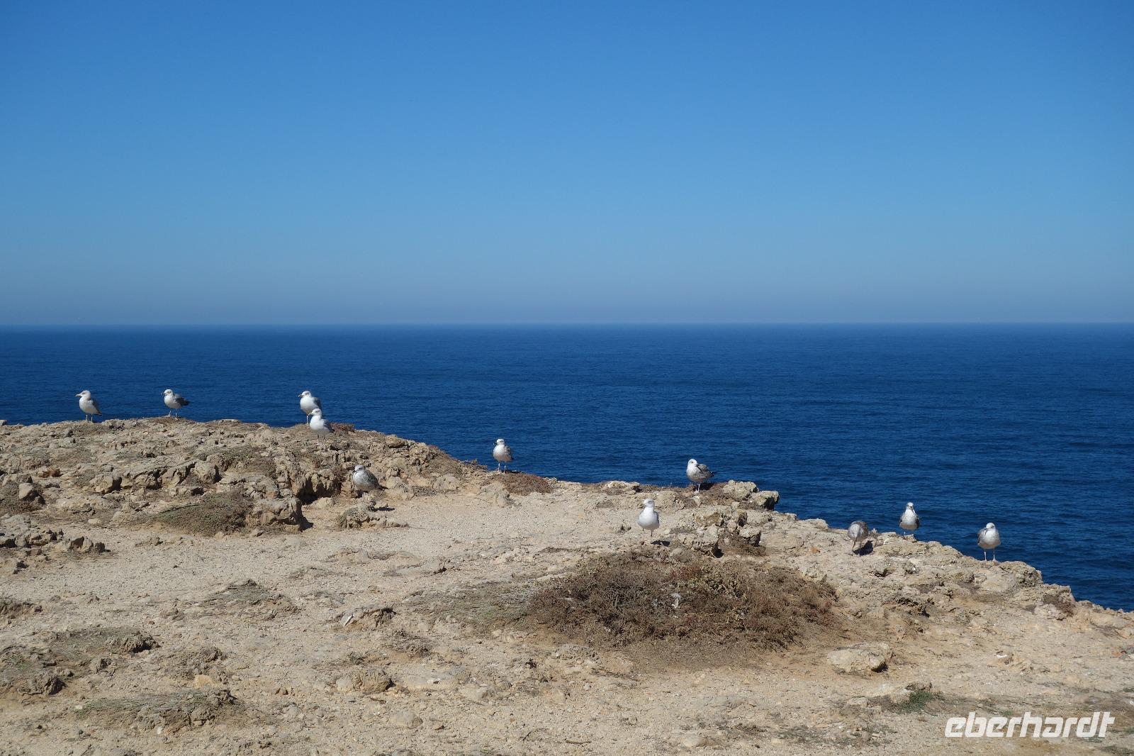 Cabo de Sao Vincente  &ndash; &copy; Melanie Kost (Eberhardt TRAVEL)