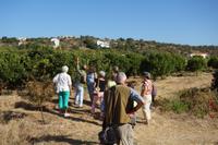 Orangenplantage &ndash; &copy; Melanie Kost (Eberhardt TRAVEL)
