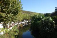 Alte
