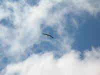 &copy; Nicole Niendorf (Eberhardt TRAVEL)