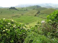 &copy; Nicole Niendorf (Eberhardt TRAVEL)