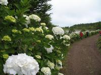 &copy; Nicole Niendorf (Eberhardt TRAVEL)