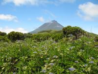 &copy; Nicole Niendorf (Eberhardt TRAVEL)