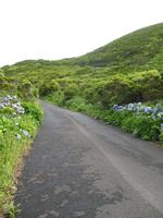 &copy; Nicole Niendorf (Eberhardt TRAVEL)